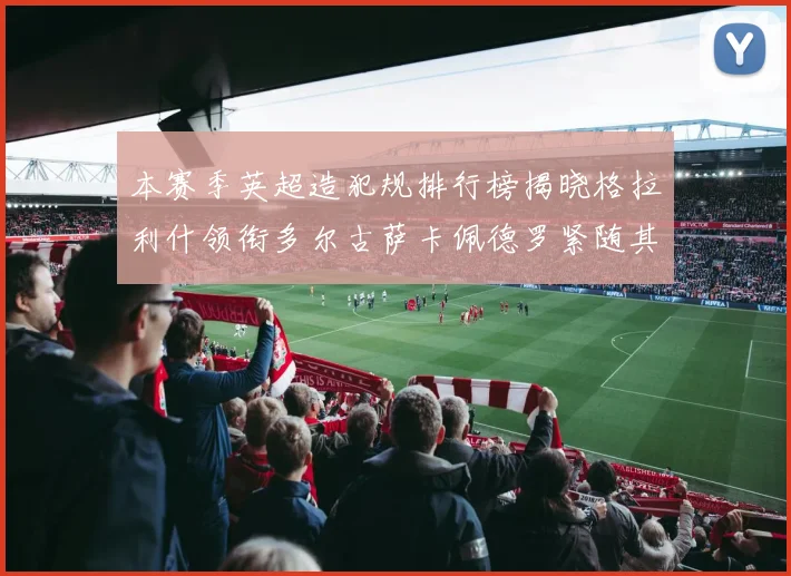 本赛季英超造犯规排行榜揭晓格拉利什领衔多尔古萨卡佩德罗紧随其后